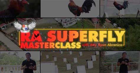 sabongtv.net|Expert Sabong Lessons with RA Superfly Masterclass .